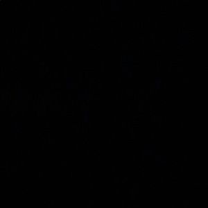 Meet your Posher, Damian